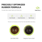 SALYWEE PRO Professional Tennis Balls 4 Count Pressurized Can All‑Court Suitable for Match & Daily Training Sessions