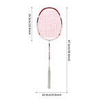 SALYWEE MY2.0 Badminton Racket T700 Carbon, Exquisite Water‑Based Paint With Malaysian Landmark Architecture Pattern, Large Frame Sweet Spot For Training & Match
